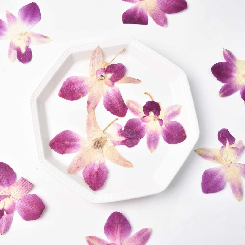 Art And Craft Photos - 4 Pezzi, Fiori di Orchidea Farfalla