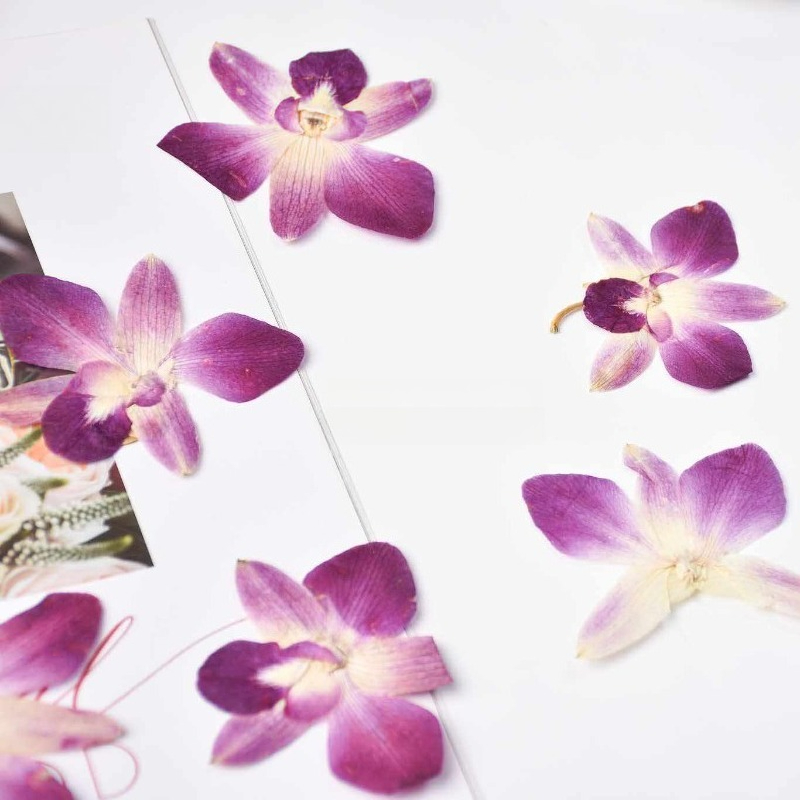 4 Pezzi, Fiori di Orchidea Far - Art And Craft Photos recensione e prezzo