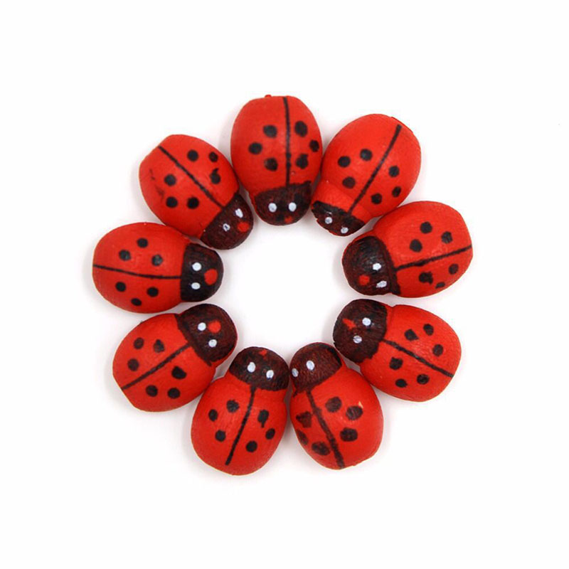 Mini Coccinelle Adesive per Fr - Art Craft Ladybug recensione e prezzo
